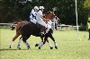 UKPA  NC Sat_1262